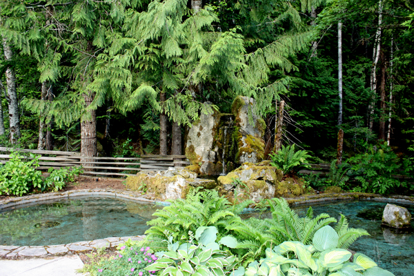 pond in the garden area